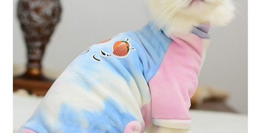 Os gatos tem a necessidade de usar roupinhas de frio ? 