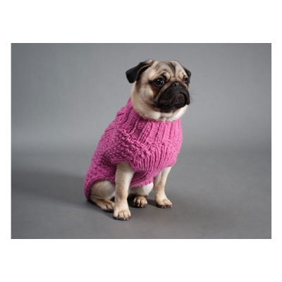 O frio está chegando, meu pet precisa usar roupinha?